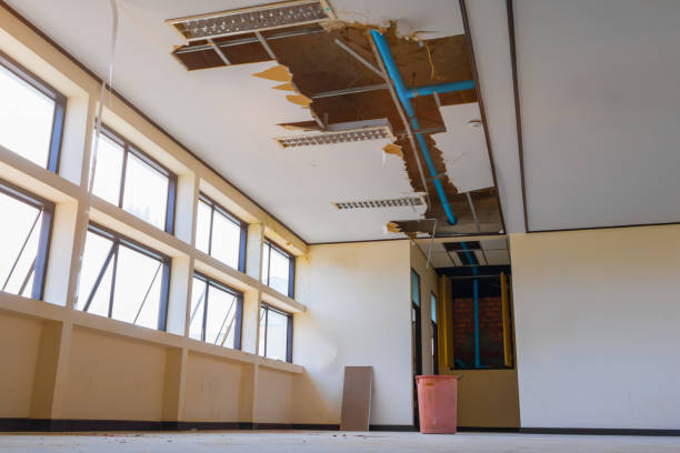 Preston Heights, IL Water damage restoration Company