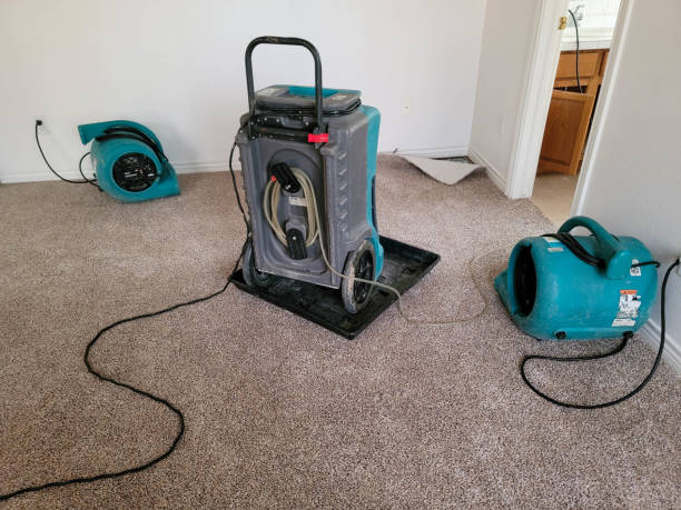  Preston Heights, IL Water damage restoration Pros