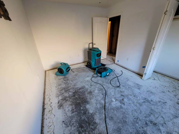 Best Residential water damage restoration  in Preston Heights, IL
