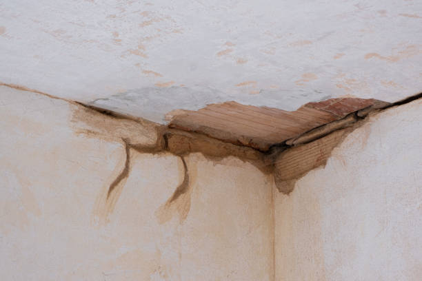 Best Water damage restoration near me  in Preston Heights, IL