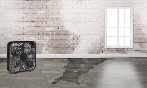 Best 24-hour water damage restoration  in Preston Heights, IL