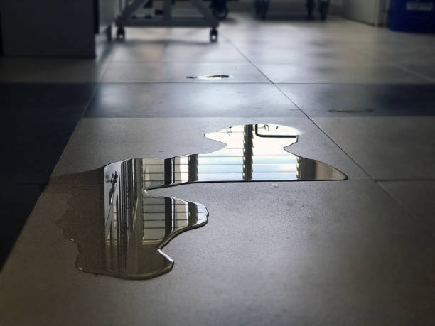 Best Emergency water damage restoration  in Preston Heights, IL