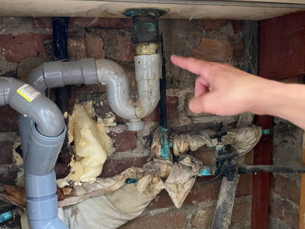 Reliable Preston Heights, IL Water damage restoration Solutions