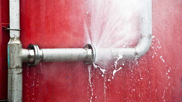 Best Ceiling water damage repair  in Preston Heights, IL