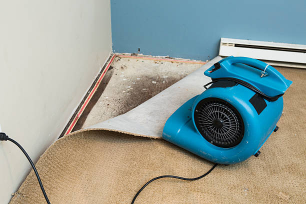 Best Professional water damage repair  in Preston Heights, IL